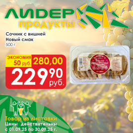 Сочник с вшней 500г
