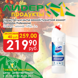 Domestos Professional универс дезинф п/бут 1л