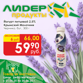 Йогурт Черника 2.5% 300г бутылка