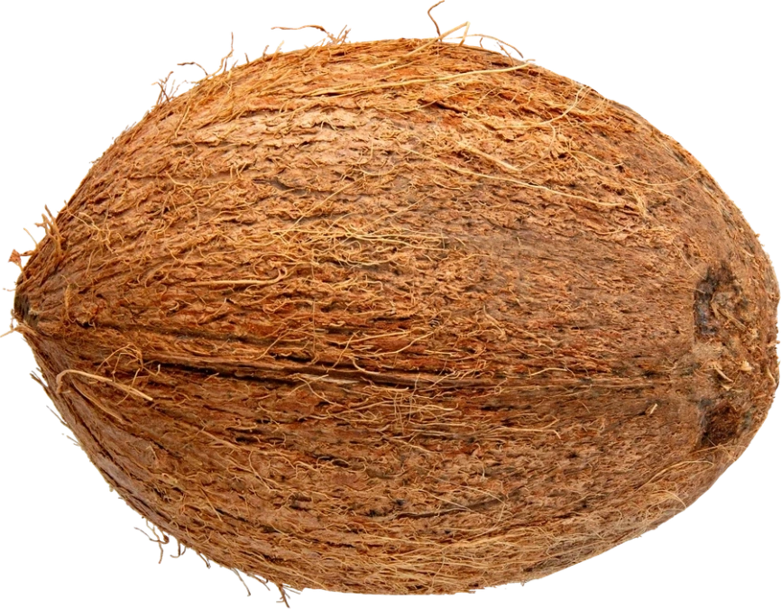 Кокос шт фото 1