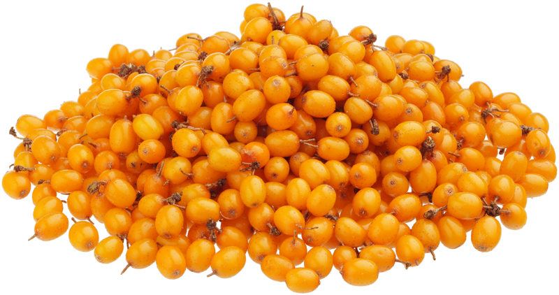 Облепиха с/м вес фото 1