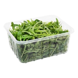 Салат Руккола