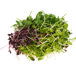 Салат Микс с микрозеленью 75г
