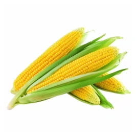 Кукуруза 1шт