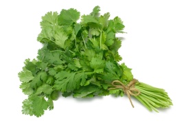 Кинза (пучок)