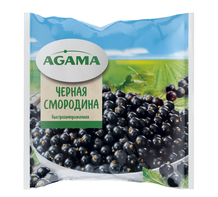 Черная смородина 300г фото 1