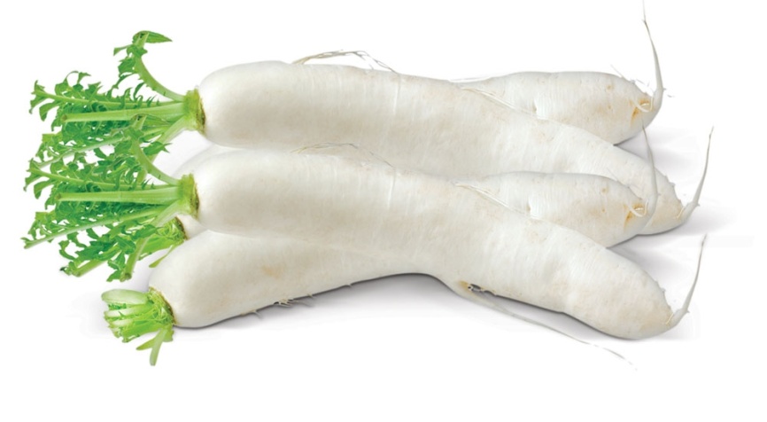 Редька Дайкон цена за кг  фото 1