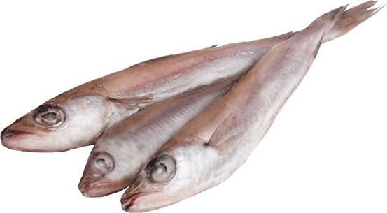 Путассу с/м фото 1