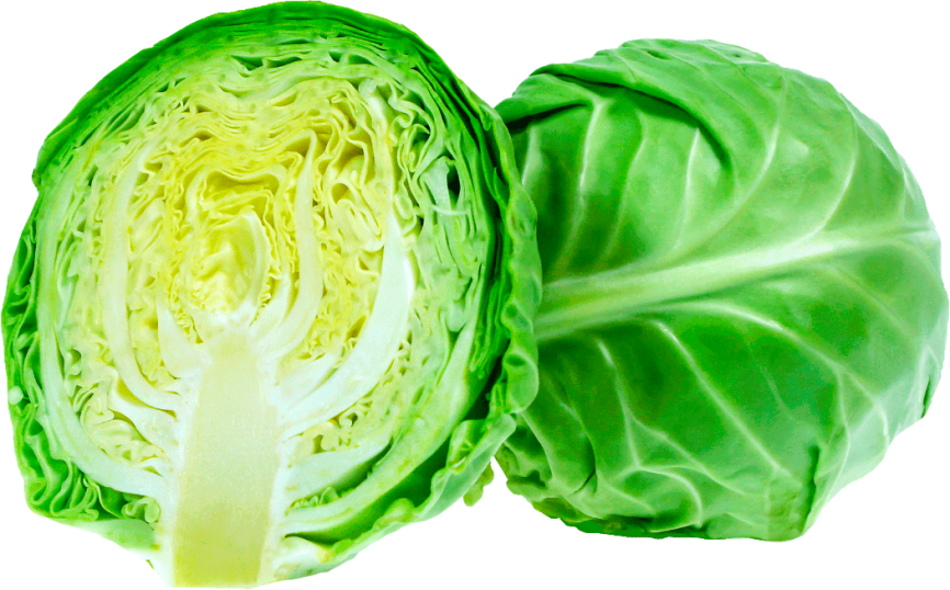 Капуста молодая вес фото 1