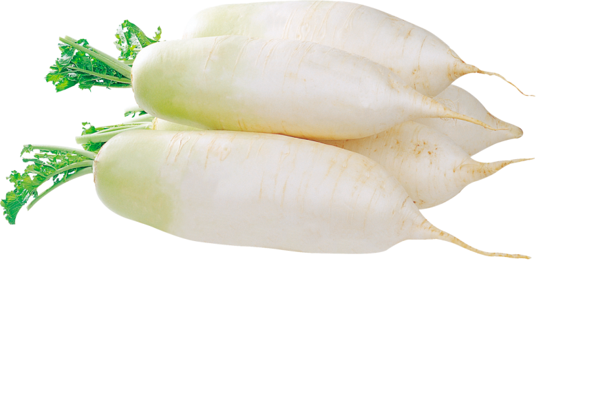 Редька Дайкон вес фото 1