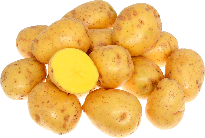 Картофель белый вес фото 3