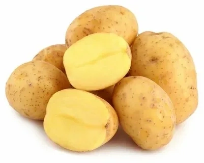 Картофель белый вес фото 1