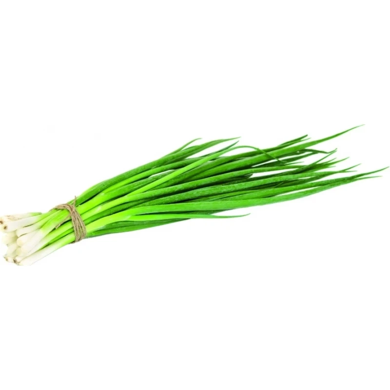 Лук зеленый (пучки) фото 1