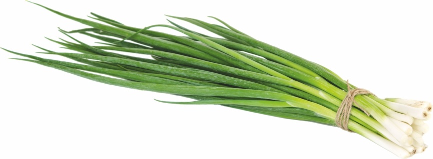 Лук зеленый (пучки) фото 1